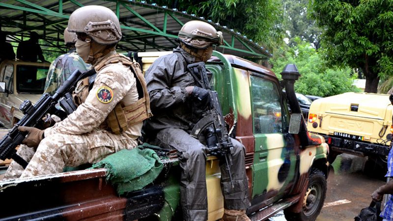 مقتل 6 جنود على يد مسلحين في مالي