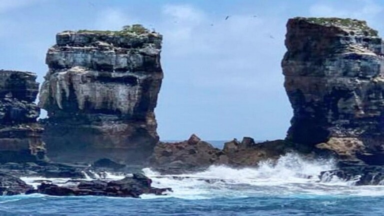 انهيار “قوس داروين” الشهير في جزر غالاباغوس