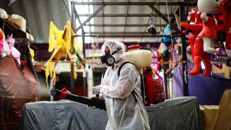 المكسيك.. 48 وفاة جديدة بفيروس كورونا