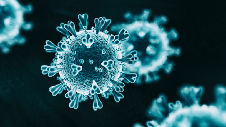 أي مناعة تقضي على الفيروس التاجي؟