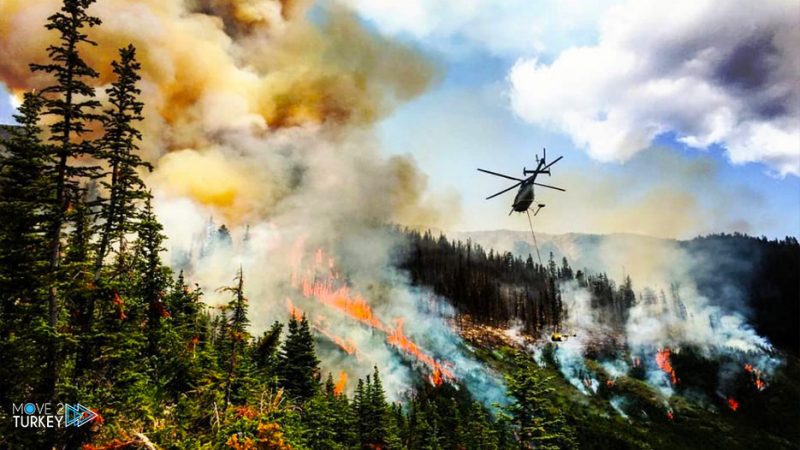 الأمم المتحدة تبدي استعدادها لمساعدة تركيا في مكافحة حرائق الغابات