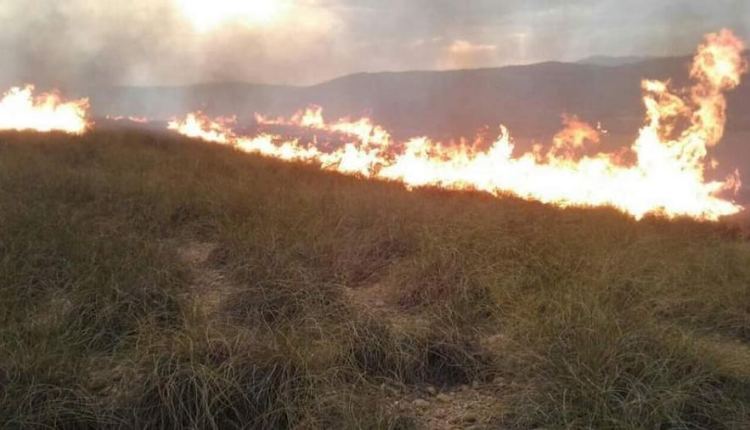 السيطرة على حرائق غابات إقليم كرسيف