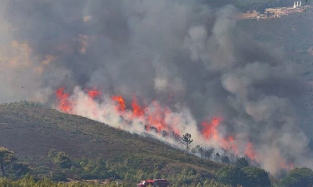 إقليم تطوان.. الجهود تتواصل لإخماد حريق غابوي أتى لحدود الساعة على 90 هكتارا من الغطاء الغابوي