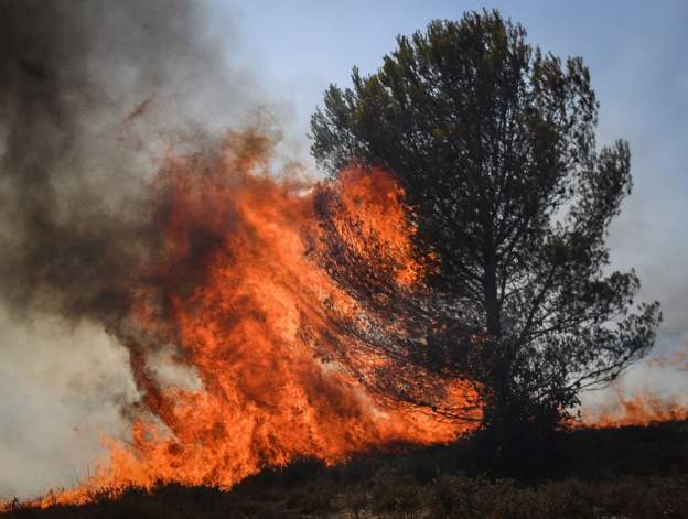 تواصل اندلاع النيران في غابات فرنسا وإسبانيا وسط موجة غير مسبوقة من الحر