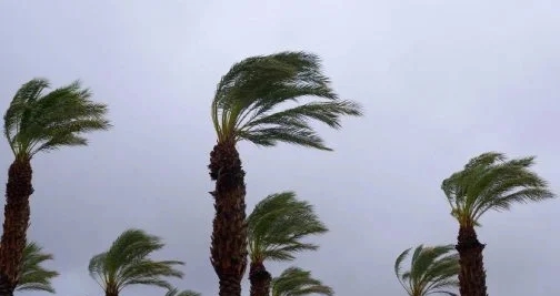 نشرة إنذارية: أمطار رعدية وتساقطات ثلجية ورياح قوية مرتقبة بعدد من مناطق المملكة