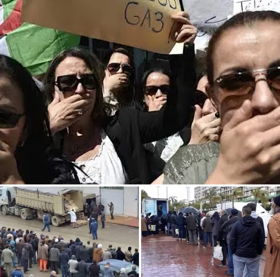 الجزائر: الأمن يستدعي الصحفيين ويهددهم من نشر أخبار الطوابير على المنتجات الواسعة الاستهلاك وتدهور الأوضاع الاجتماعية