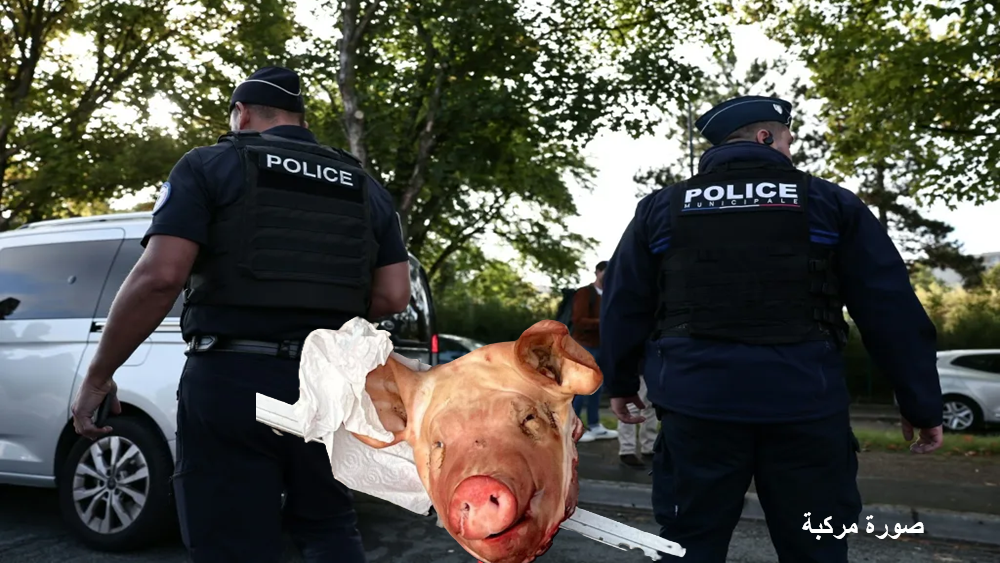 وضع تسعة رؤوس خنازير بأبواب مساجد بباريس، حادث وصف بـ”الإرهاب الثقافي” يستهدف استفزاز المشاعر الدينية للمسلمين