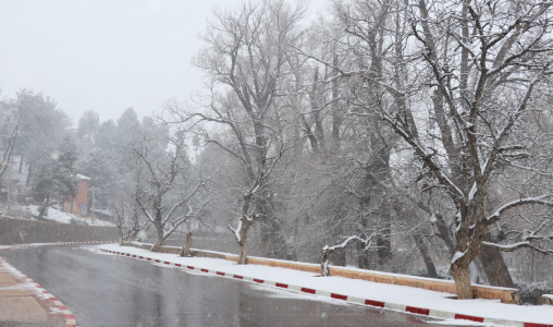 تساقطات ثلجية وأمطار قوية أحيانا رعدية وهبات رياح بعدد من مناطق المملكة