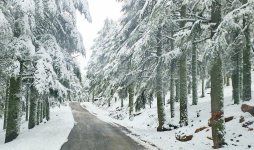 زخات رعدية محليا قوية وتساقطات ثلجية وهبات رياح أحيانا قوية بعدد من مناطق المملكة