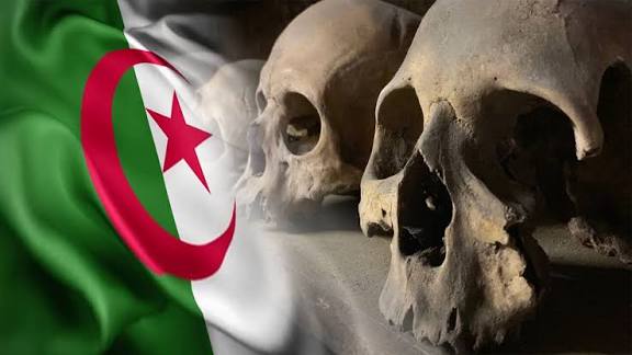 يوم قال مغني مصري.. الجزائر بلد المليون لقيط (فيديو )