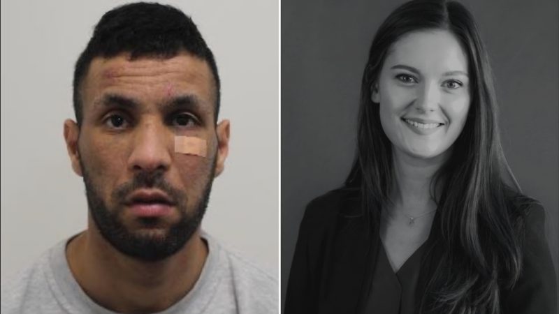 جزائري يسرق حقيبة يدوية تعود لـ”روزي داوسون” مديرة العلامات التجارية الفاخرة في شركة ب”لندن” بقيمة حوالي 3 ملايين دولار أمريكي