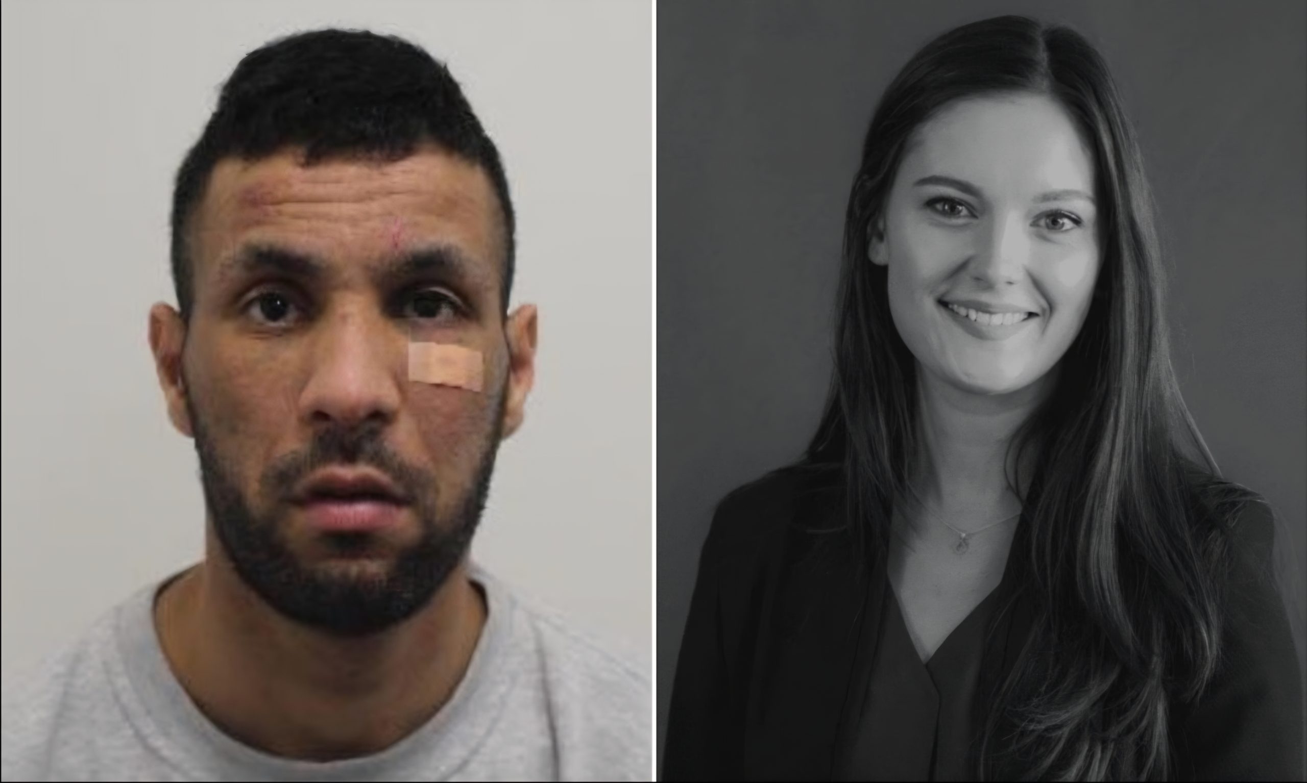 جزائري يسرق حقيبة يدوية تعود لـ”روزي داوسون” مديرة العلامات التجارية الفاخرة في شركة ب”لندن” بقيمة حوالي 3 ملايين دولار أمريكي