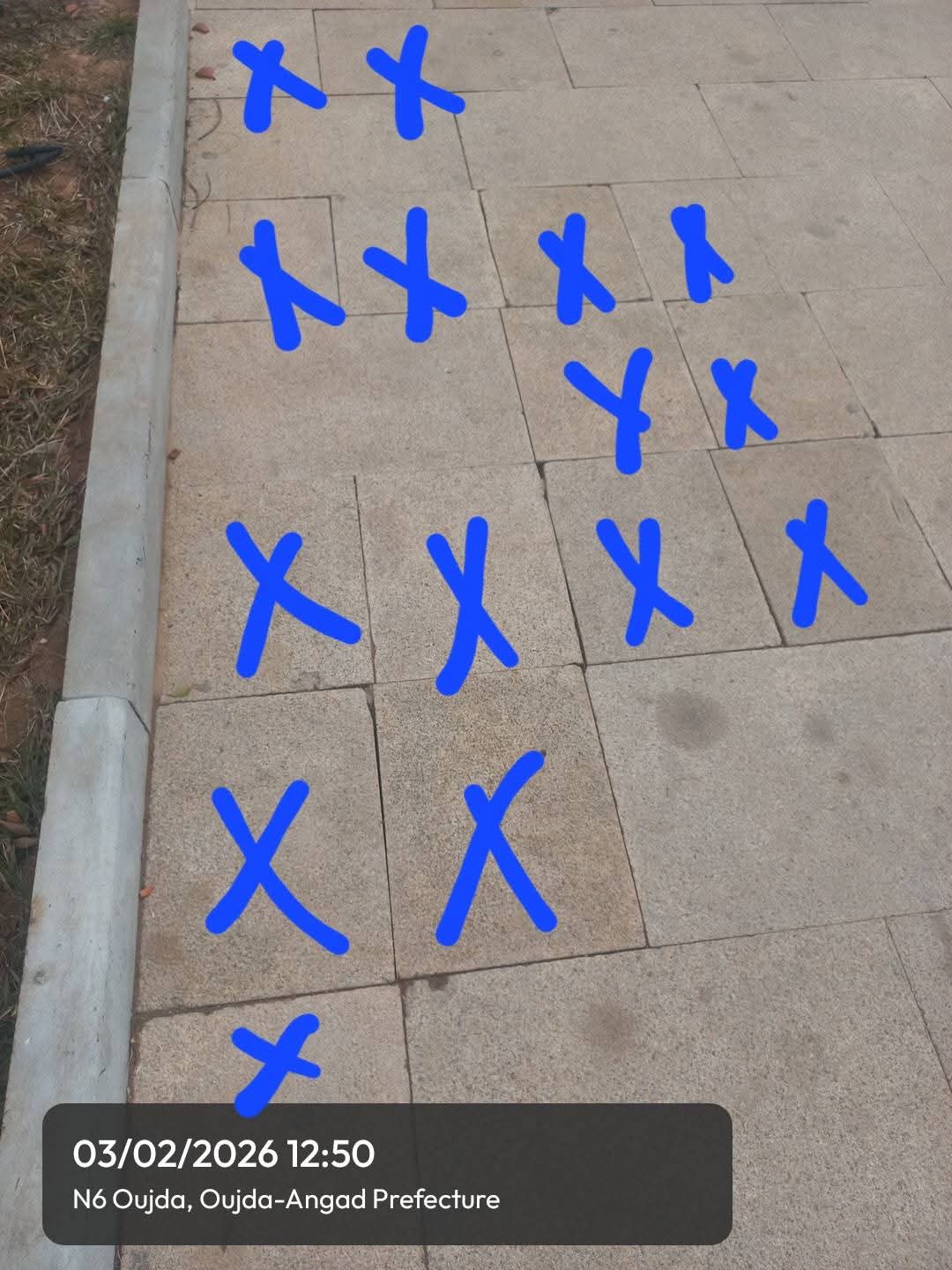 مستشار يفضح شركة ” تهيئة وجدة” وبالصور