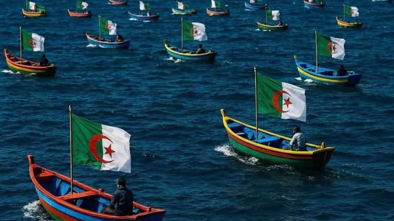  الجزائر: واقع مأساوي ومؤلم ومستمر لهجرة آلاف من الشباب اليائس وأسرهم عبر قوارب الموت ويمثل 70% من تدفق الهجرة إلى أوروبا