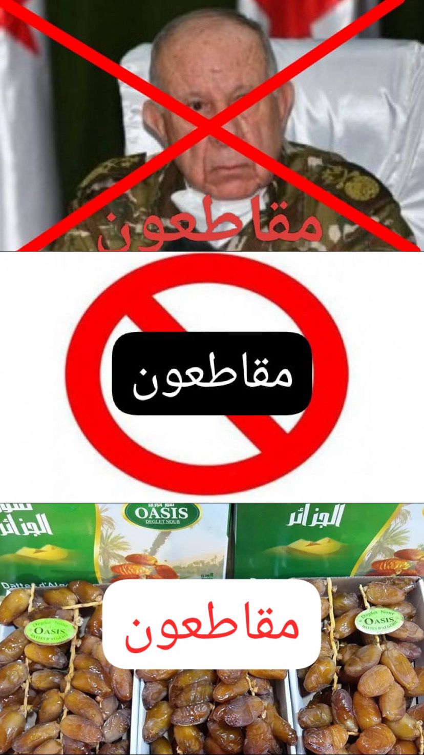 مغاربة العالم يقاطعون التمور الجزائرية لارتباط سلاسل إنتاجها بالقيادة العسكرية