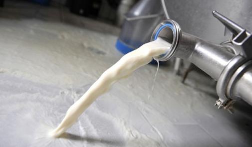 ” التوريث” حتى في تعاونية الحليب بوجدة