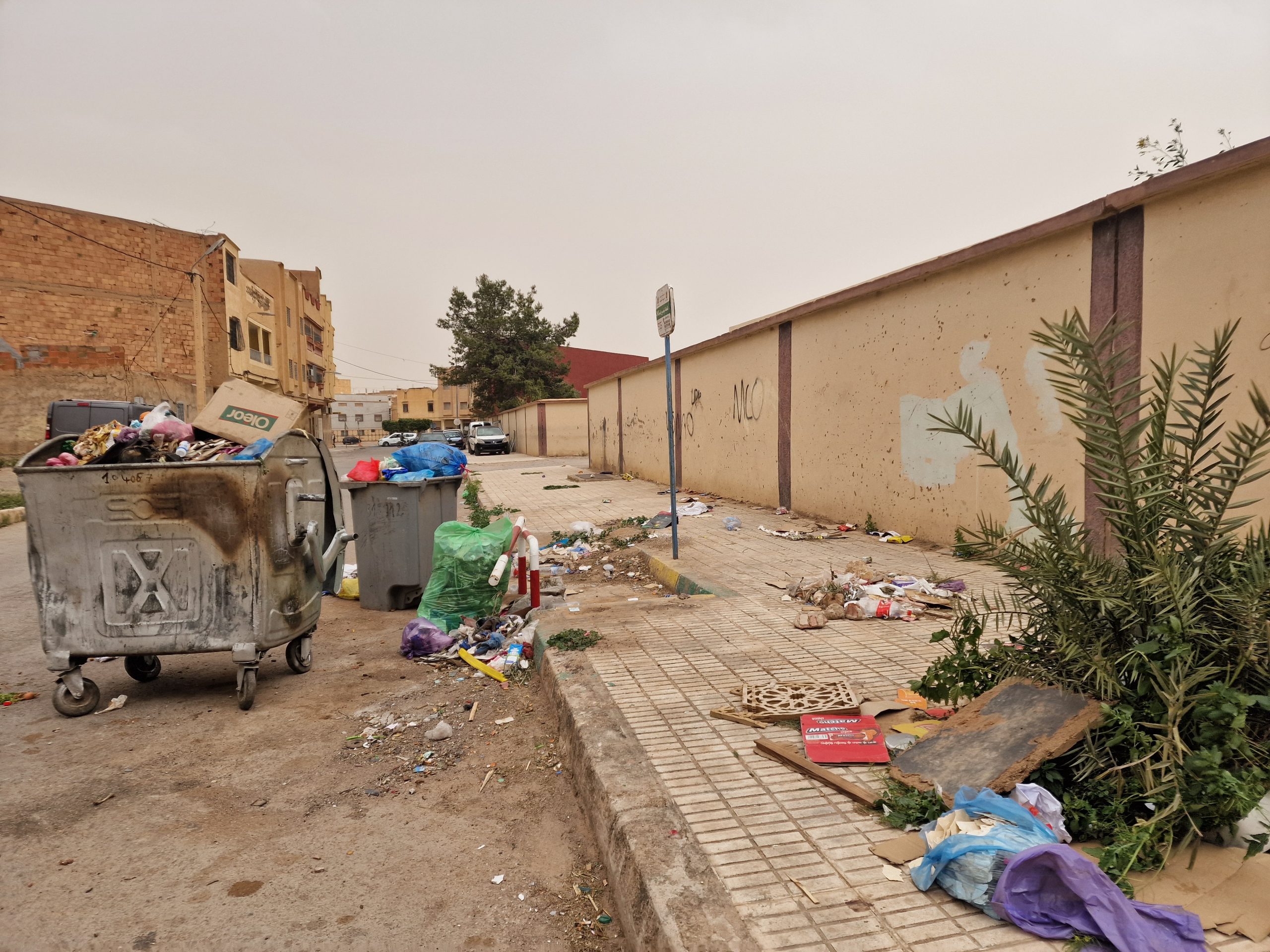 عَيْبٌ وعارٌ: حاويات الأزبال تستقبل تلاميذ مدرسة طه حسين الابتدائية بوجدة