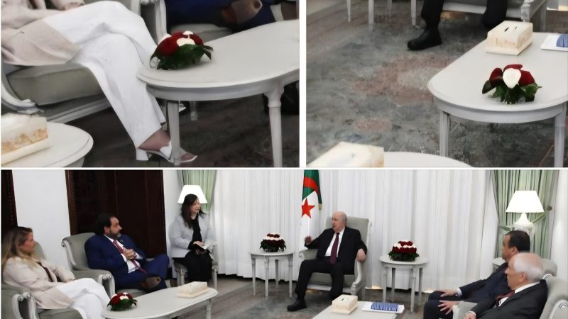 صورة للرئيس عبدالمجيد تبون تثير الجدل بسبب وضعية جلوسه وجلوس الأمين التنفيذي لمنظمة الطاقة لأمريكا اللاتينية والكاريبي ومرافقة له