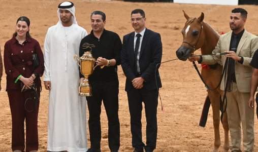 تتويج الفائزين في كأس الإمارات العالمي لجمال الخيل العربية (المغرب 2026)