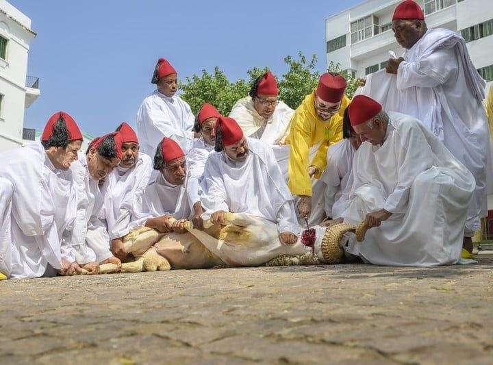 أمير المؤمنين يؤدي صلاة عيد الأضحى المبارك بمسجد أهل فاس بالرباط ويتقبل التهاني بهذه المناسبة السعيدة