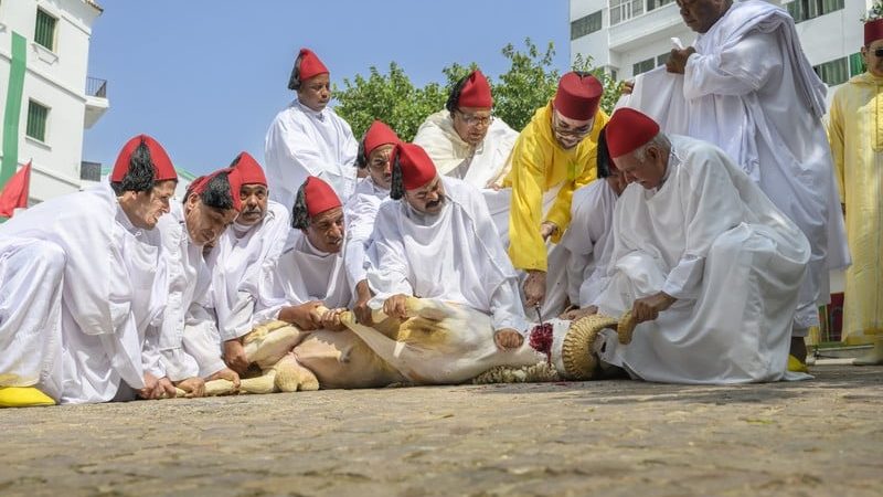 أمير المؤمنين يؤدي صلاة عيد الأضحى المبارك بمسجد أهل فاس بالرباط ويتقبل التهاني بهذه المناسبة السعيدة