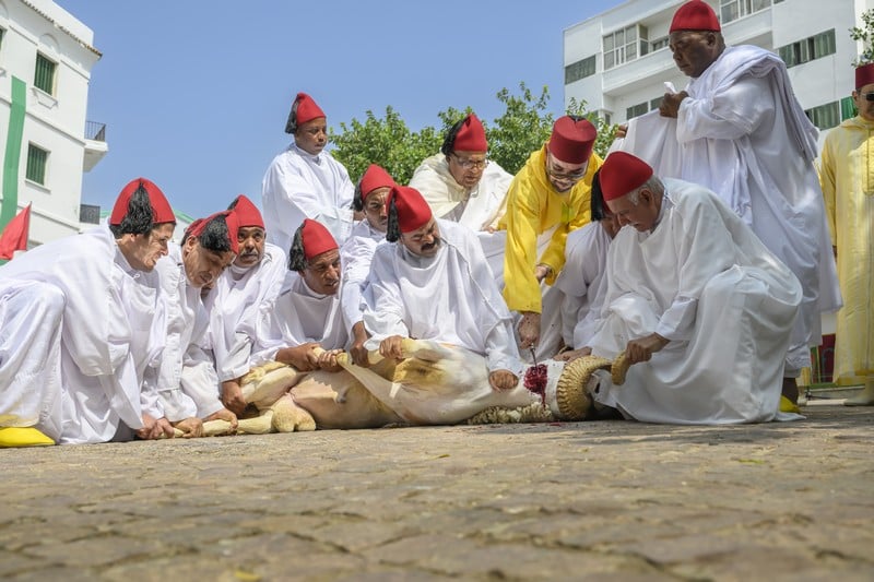 أمير المؤمنين يؤدي صلاة عيد الأضحى المبارك بمسجد أهل فاس بالرباط ويتقبل التهاني بهذه المناسبة السعيدة