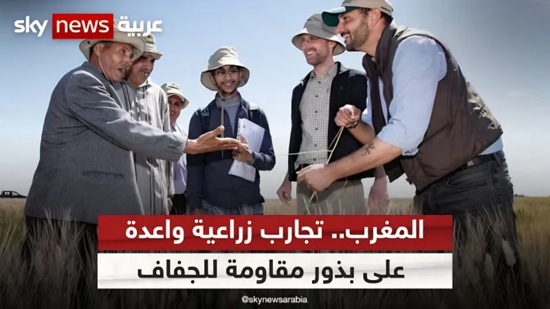 إنجاز باهر حققه المغرب يتمثل في خلق بذور مقاومة للحرارة الشديدة والجفاف..والذي يعزز من قوته الناعمة ومكانته كفاعل أساسي في التعاون “جنوب-جنوب” والأمن الغذائي القاري