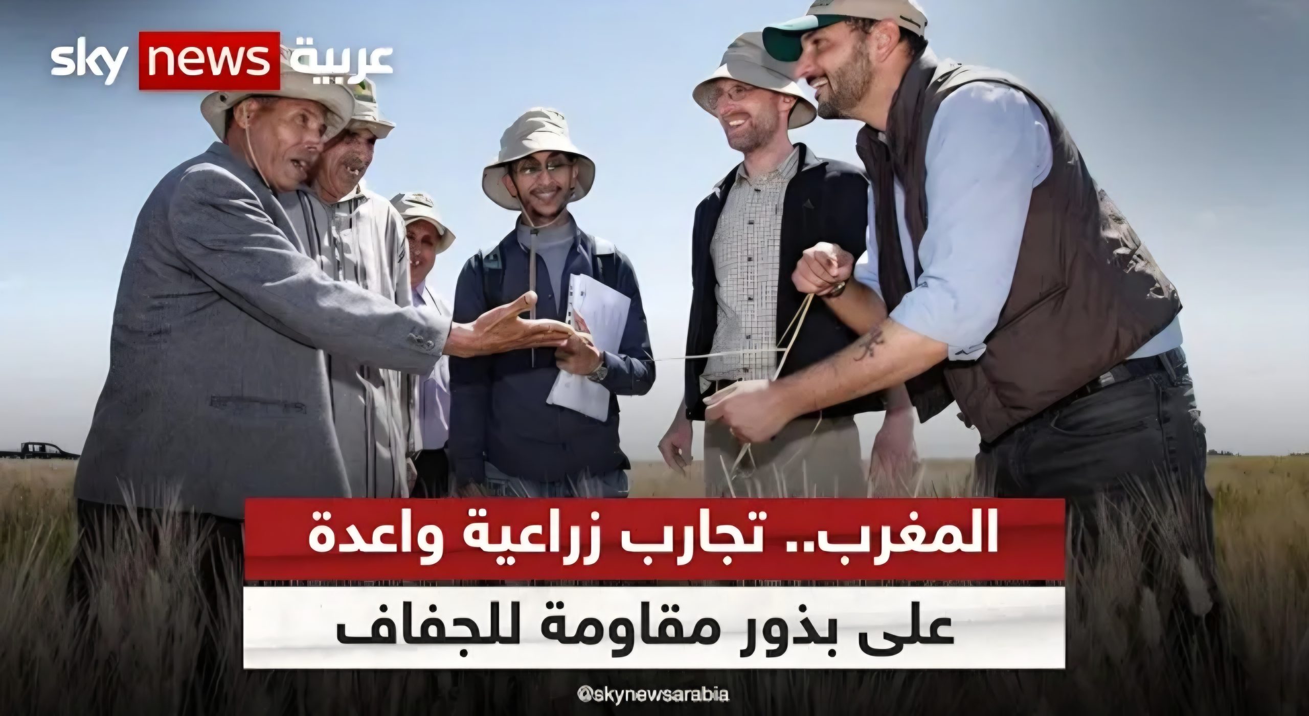 إنجاز باهر حققه المغرب يتمثل في خلق بذور مقاومة للحرارة الشديدة والجفاف..والذي يعزز من قوته الناعمة ومكانته كفاعل أساسي في التعاون “جنوب-جنوب” والأمن الغذائي القاري