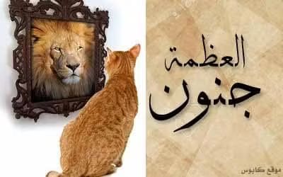 جُمْهُورِيَّةُ الْخَيَالِ الْعِلْمِيِّ! “أَكْبَرُ خَطَأٍ يَرْتَكِبُهُ الْعَاقِلُ.. يَوْمِيَّاتُ النِّقَاشِ الْمُسْتَحِيلِ” أَوْ “عِنْدَمَا يَنْتَحِرُ الْمَنْطِقُ: حِوَارٌ مَعَ اللَّامَعْقُولِ”