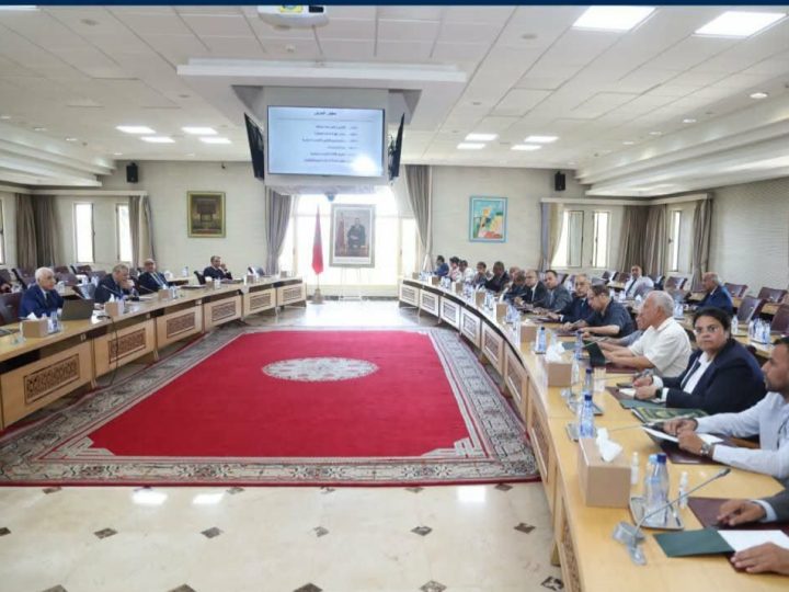استعدادا للانتخابات التشريعية.. وزير الداخلية يعقد اجتماعين مع قادة ومسؤولي الأحزاب السياسية
