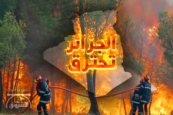 الْجَزَائِرُ المحترقة بَيْنَ الْخِطَابِ السِّيَاسِيِّ وَالْأَزَمَاتِ الْبُنْيَوِيَّةِ: قِرَاءَةٌ فِي تَدَاعِيَاتِ اسْتِنْزَافِ الْكَفَاءَاتِ وَعَجْزِ إِدَارَةِ الْكَوَارِثِ