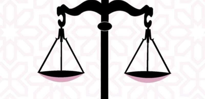 رجوع حمامة إلى عشها