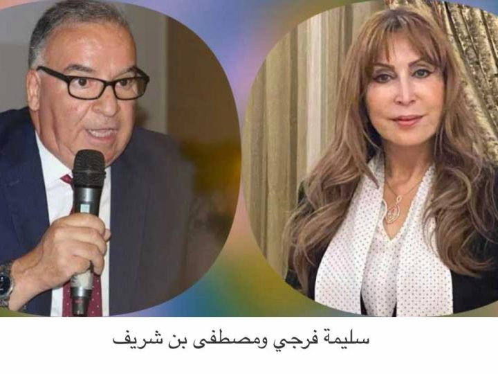 قانون المحاماة: لماذا إستنفذت المحكمة الدستورية   أجل البت كاملا قبل أن تعلن تعذر البت ؟
