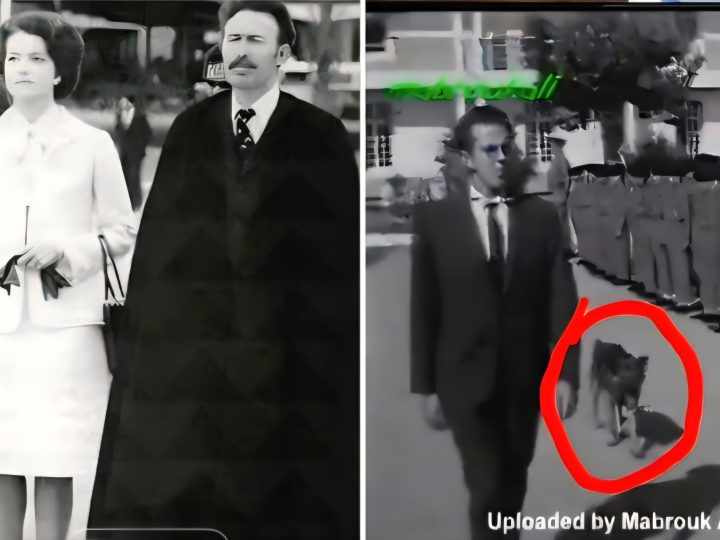 هَلَاكُ الرَّئِيسِ الْجَزَائِرِيِّ هُوَارِي بومدْيَن وَلُغْزُ كَلْبِهِ “عَنْتَر” وَأُصُولُ زَوْجَتِهِ: التَّارِيخُ الْمُوَازِي بَيْنَ الْحَقِيقَةِ، الشَّائِعَةِ، وَنَظَرِيَّاتِ الْمُؤَامَرَةِ فِي النِّهَايَاتِ الْغَامِضَةِ لِلزُّعَمَاءِ