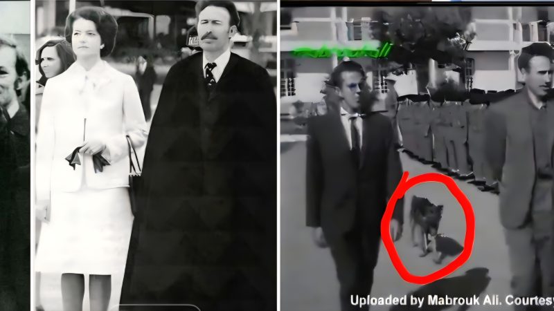 هَلَاكُ الرَّئِيسِ الْجَزَائِرِيِّ هُوَارِي بومدْيَن وَلُغْزُ كَلْبِهِ “عَنْتَر” وَأُصُولُ زَوْجَتِهِ: التَّارِيخُ الْمُوَازِي بَيْنَ الْحَقِيقَةِ، الشَّائِعَةِ، وَنَظَرِيَّاتِ الْمُؤَامَرَةِ فِي النِّهَايَاتِ الْغَامِضَةِ لِلزُّعَمَاءِ