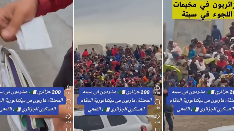 200 جَزَائِرِيٍّ فِي الْعَرَاءِ فِي سَبْتَةَ: رِسَالَةُ يَأْسٍ مِنْ جِيلٍ يَبْحَثُ عَنْ وَطَنٍ… أَزْمَةُ سَبْتَةَ 2026.. قَوَافِلُ “الْحَرَّاقَةِ” تُجَسِّدُ وَاقِعَ الشَّبَابِ الْجَزَائِرِيِّ
