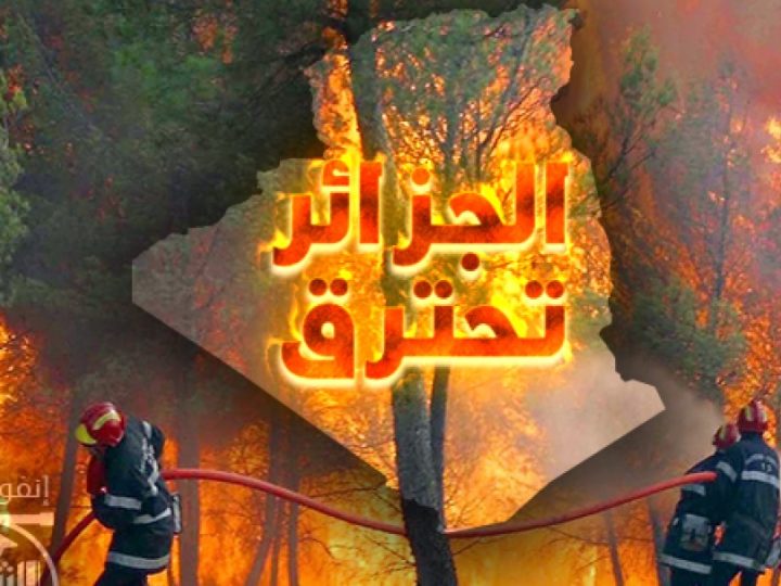 أَمِيرُ دِيزِيدْ كَابُوسُ النِّظَامِ الْجَزَائِرِيِّ يَفْضَحُ تَوَرُّطَهُ فِي الْحَرَائِقِ: اخْتَلَطَتِ الْكَوَارِثُ الطَّبِيعِيَّةُ بِتَصْفِيَةِ الْحِسَابَاتِ السِّيَاسِيَّةِ… وَالْمُوَاطِنُ الْجَزَائِرِيُّ وَحِيداً فِي مُوَاجَهَةِ النِّيرَانِ