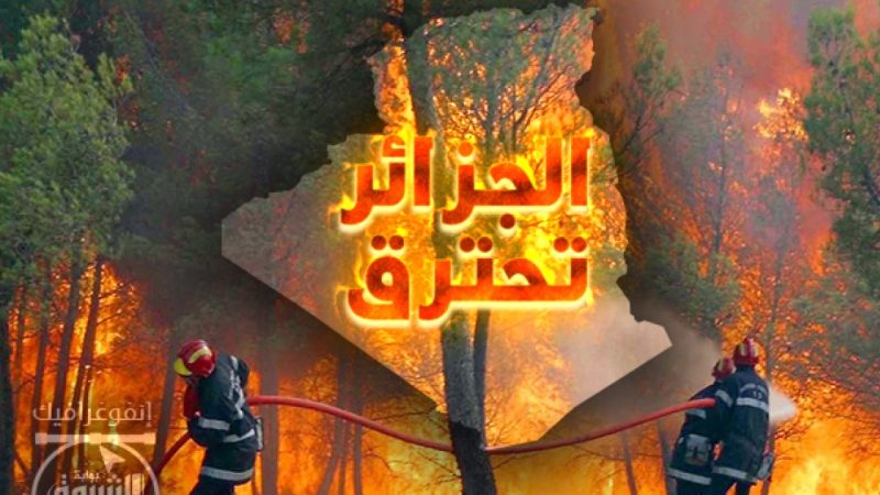 أَمِيرُ دِيزِيدْ كَابُوسُ النِّظَامِ الْجَزَائِرِيِّ يَفْضَحُ تَوَرُّطَهُ فِي الْحَرَائِقِ: اخْتَلَطَتِ الْكَوَارِثُ الطَّبِيعِيَّةُ بِتَصْفِيَةِ الْحِسَابَاتِ السِّيَاسِيَّةِ… وَالْمُوَاطِنُ الْجَزَائِرِيُّ وَحِيداً فِي مُوَاجَهَةِ النِّيرَانِ