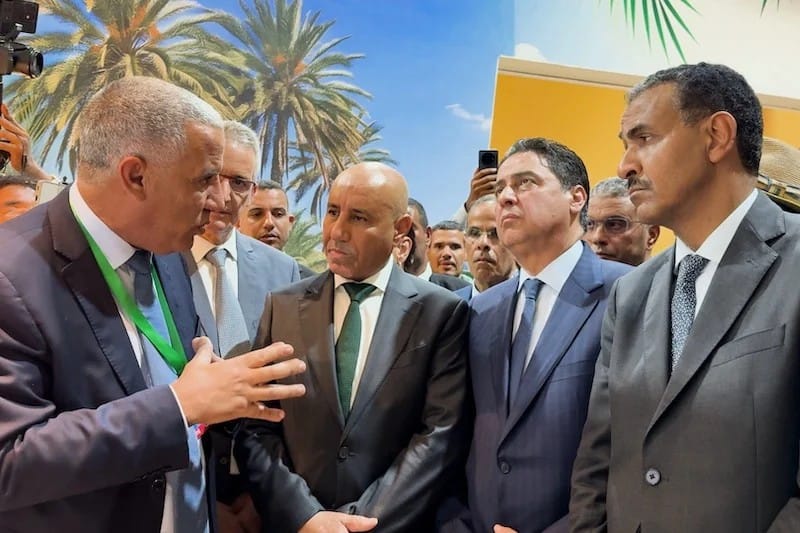 التمور الجزائرية.. ألف صوت انتخابي في مواجهة المصالح الاستراتيجية للمغرب؟