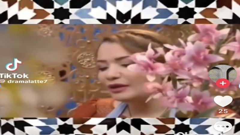 حِينَ يُطْبَخُ التُّرَاثُ عَلَى نَارٍ مَسْرُوقَةٍ: “شَهْرَزَادُ” نَمُوذَجاً لِسِيَاسَةِ السَّطْوِ الثَّقَافِيِّ… اَلْقَفْطَانُ، اَلزَّلِّيجُ، وَالْبَسْطِيلَةُ… جَرِيمَةٌ ثَقَافِيَّةٌ مُكْتَمِلَةُ الْأَرْكَانِ… سَرِقَةُ الْوَصْفَةِ وَادِّعَاءُ الْأَصَالَةِ